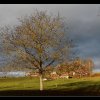 20111210_006